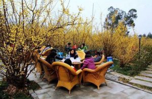 tea culture and leisure in Chengdu_06
